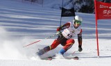 High-octane racing action at the 2015 Army Alpine Championships